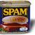 spam book